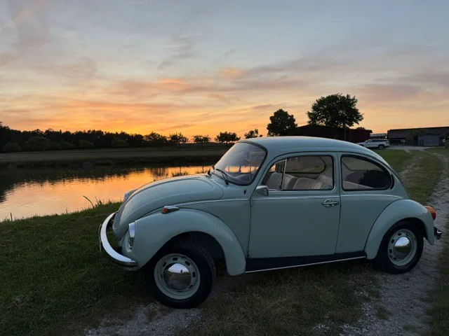Mintgrüner Liebeskäfer am Weiher bei Sonnenuntergang